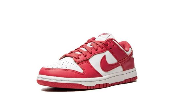 Nike SB Dunk Low Archeo Pink - Image 4