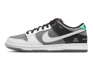 Nike SB Dunk Low VX1000 Camcorder